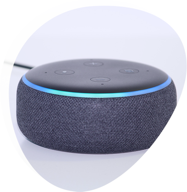 Alexa Application Development