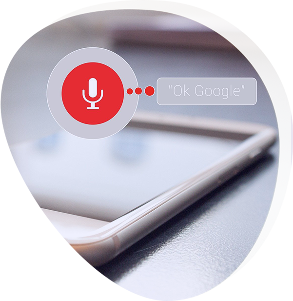 Google Assistant skills services